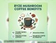 Ryze Mushroom Coffee Benefits